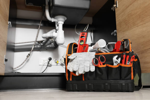 Best Same-Day Plumbing Service  in Sarand, AL